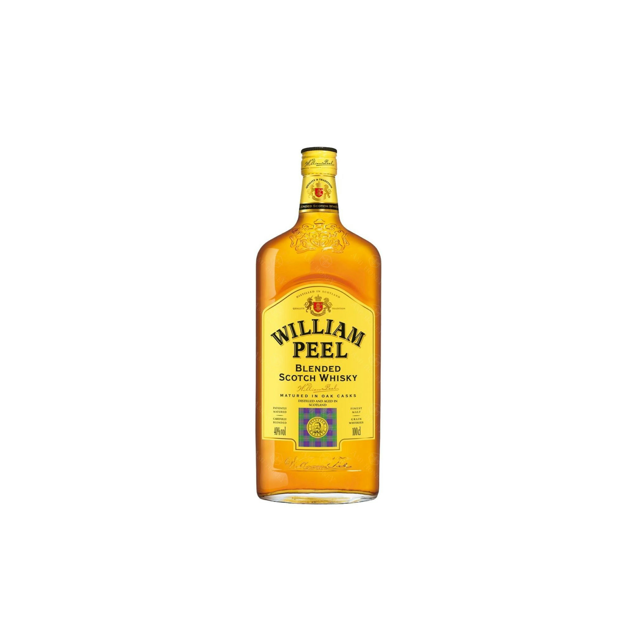 William Peel 1L