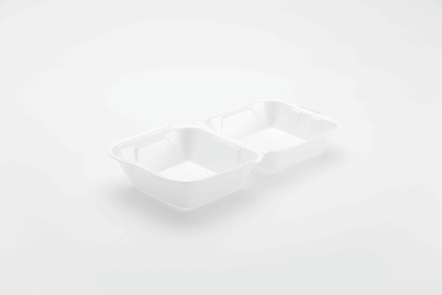 IP6 x100